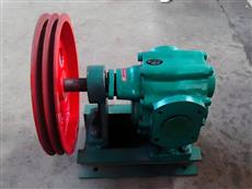 CYB稠油齿轮泵