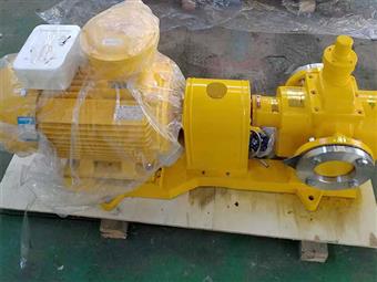 W双螺杆泵-螺杆泵-螺杆泵