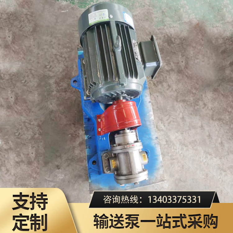 2CY不锈钢齿轮泵