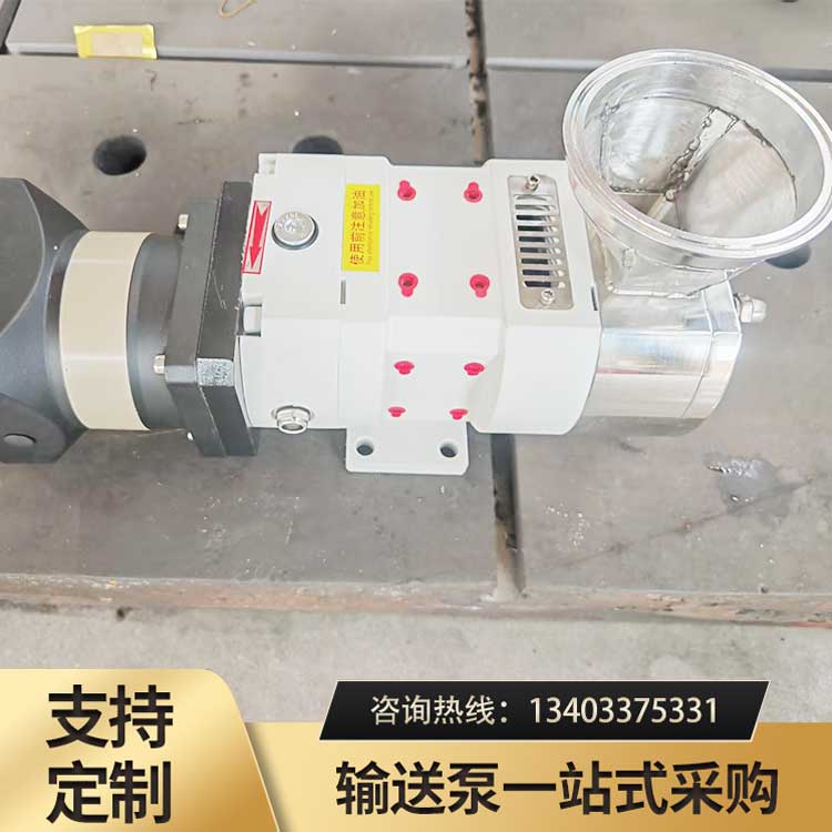 <strong>LX3A灌装机转子泵</strong>