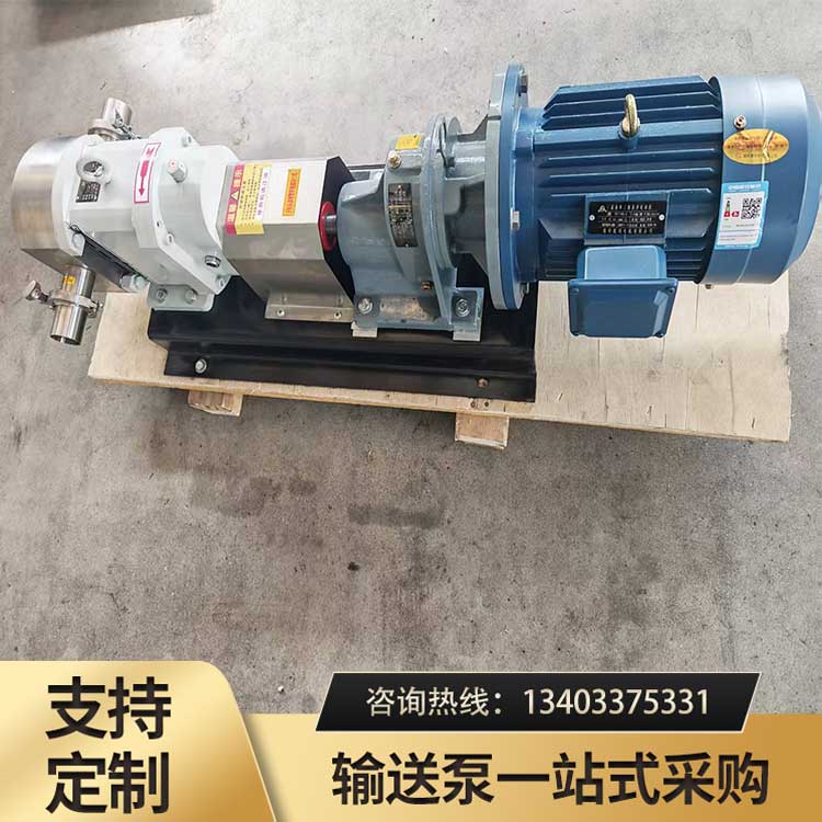 LZB10<strong>凸轮转子泵</strong>