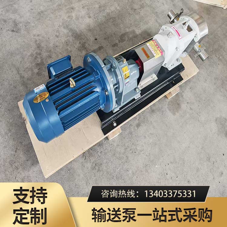 <strong>LZB10凸轮转子泵</strong>