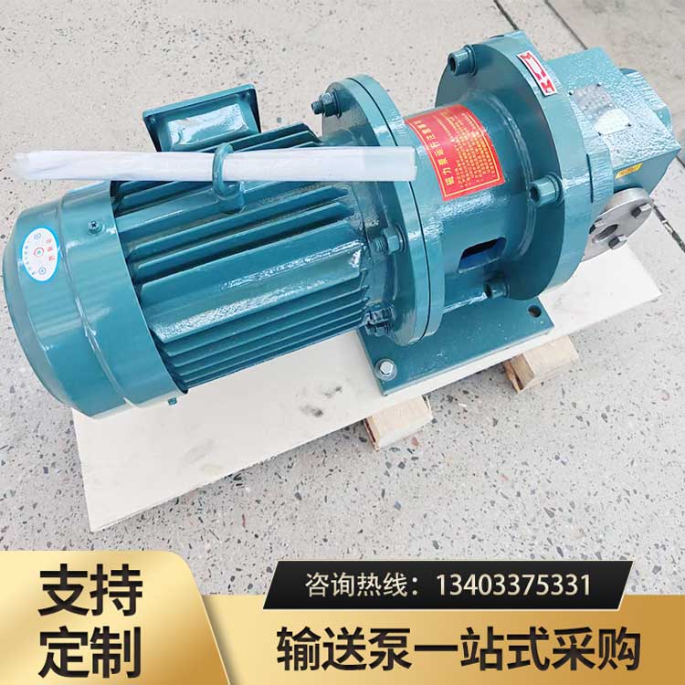 <strong>ZYB高压磁力齿轮泵</strong>