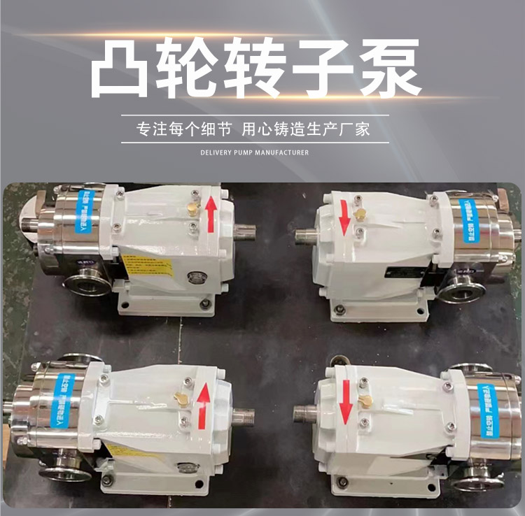 凸轮转子泵