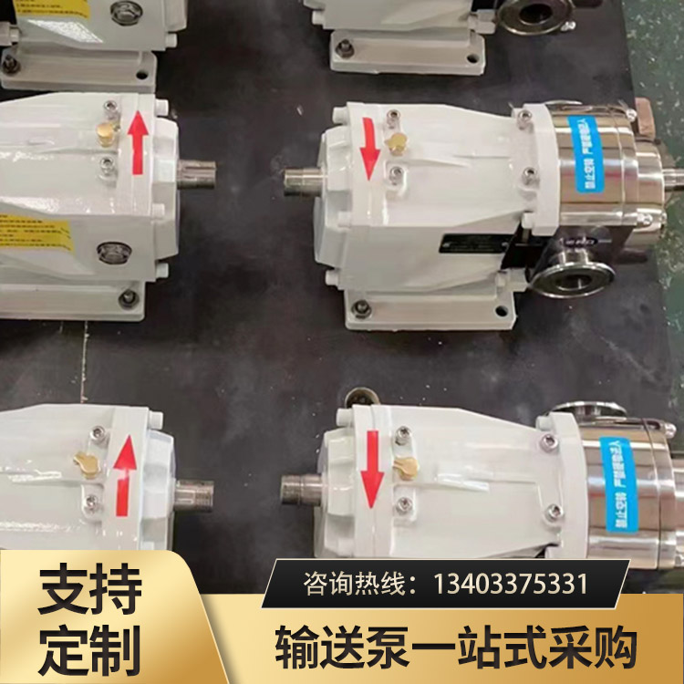 凸轮转子泵