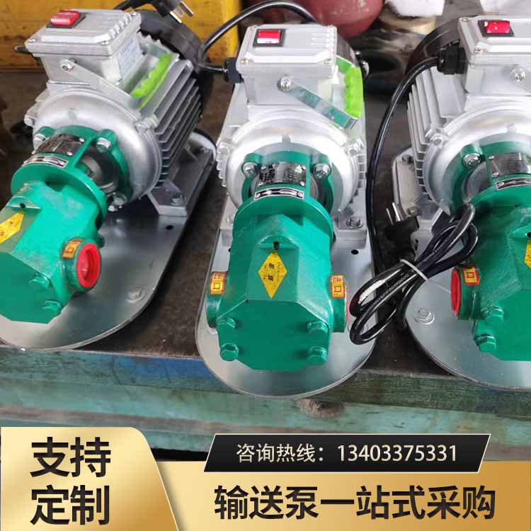 WCB手提齿轮泵