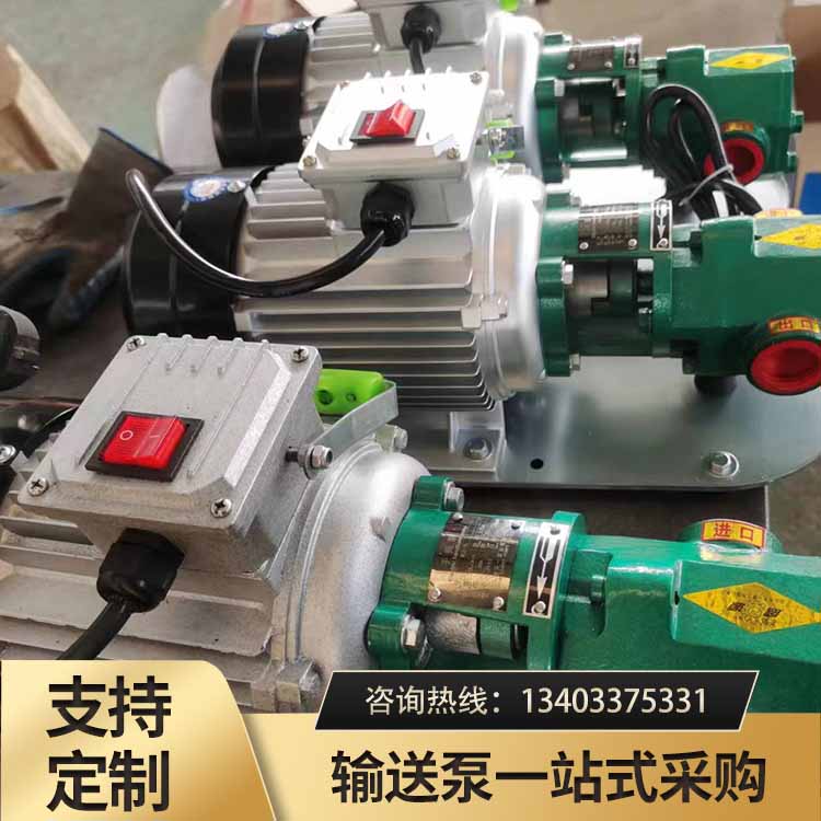 WCB手提齿轮泵