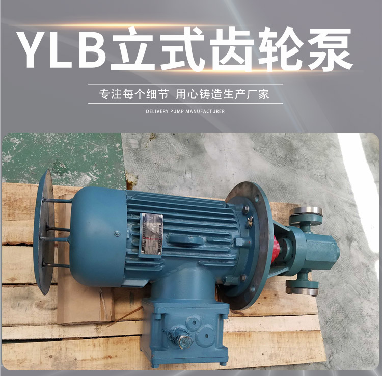 YLB立式齿轮泵